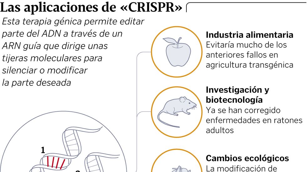 Las aplicaciones de �CRISPR�
