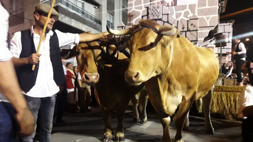 O Pino se reencuentra con su smbolo: el galo pieiro.El ltimo Folin de Carros hasta ahora es el que se celebr en el 2019