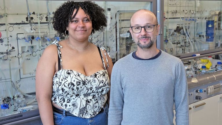 La oscuridad también construye: investigadores del CIQUS desvelan el papel oculto de los ciclos de luz y sombra en la evolución molecular