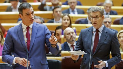 Pedro Sánchez y Alberto Núñez Feijoo, en un cara a cara en el Senado el 21 de febrero