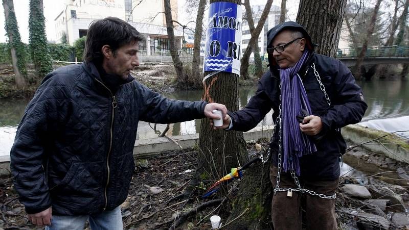�No a la tala� en Sarria.Los �rboles que estaban marcados para que los talaran fueron decorados con corazones rosas