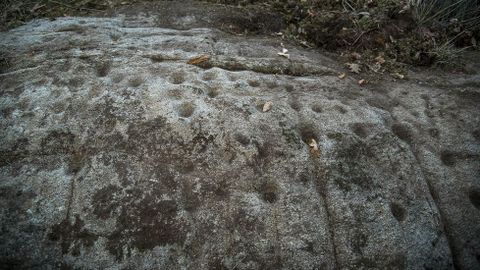 Detalle de los grabados rupestres de Pena da Lagarta