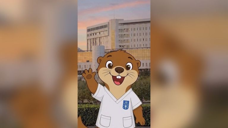 Toxiño, la mascota que quiere que los niños de Pontevedra no tengan miedo al hospital