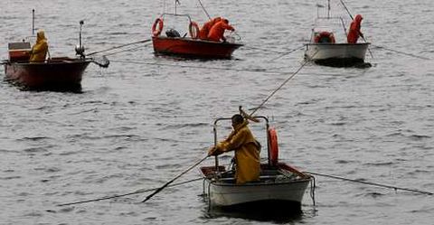 Los mariscadores de a flote se quejan de que el jueves trabajaron para nada bajo la lluvia. 