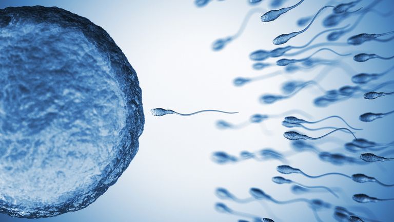 El cóctel químico del semen: identificados 42 compuestos tóxicos de uso diario que afectan a la fertilidad