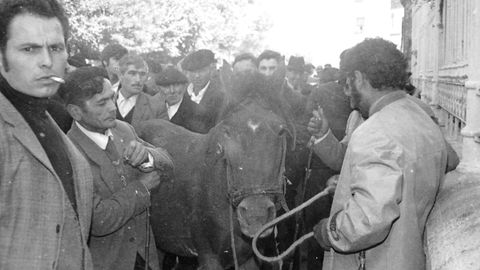 A feira de gando, especialmente de cabalo e mular, foi sempre moi prezada no San Froiln