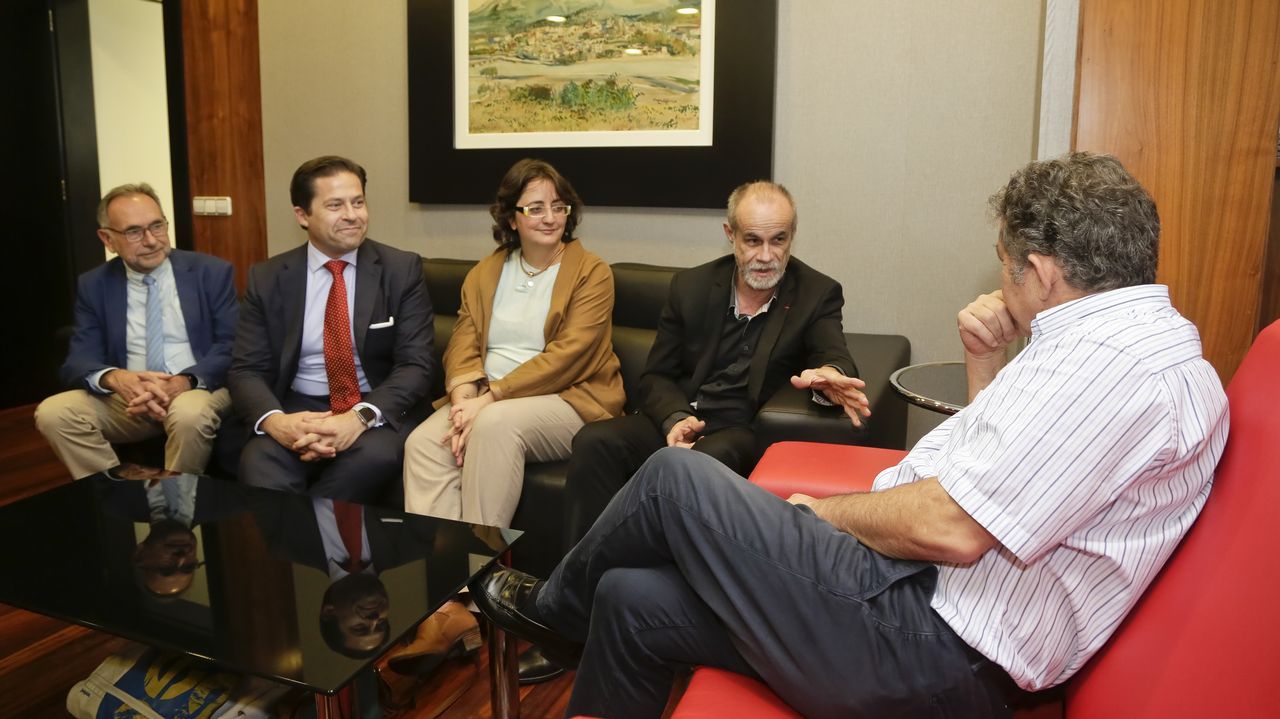 Qu tiempo har este puente?