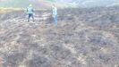 Guardia Civil investiga la zona de un incendio forestal