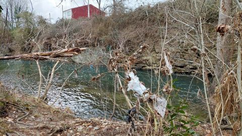 Los plásticos colgados de las ramas delatan el nivel de la última crecida
