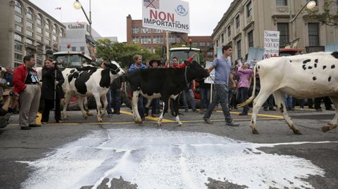 Manifestacin de ganaderos en Canad.