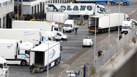 Camiones cargando con aparente normalidad hoy en el Puerto de Vigo