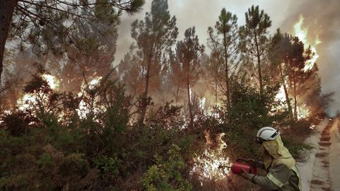 En San Fiz, Bveda, los bomberos hicieron contrafuegos para evitar la propagacion de las llamas