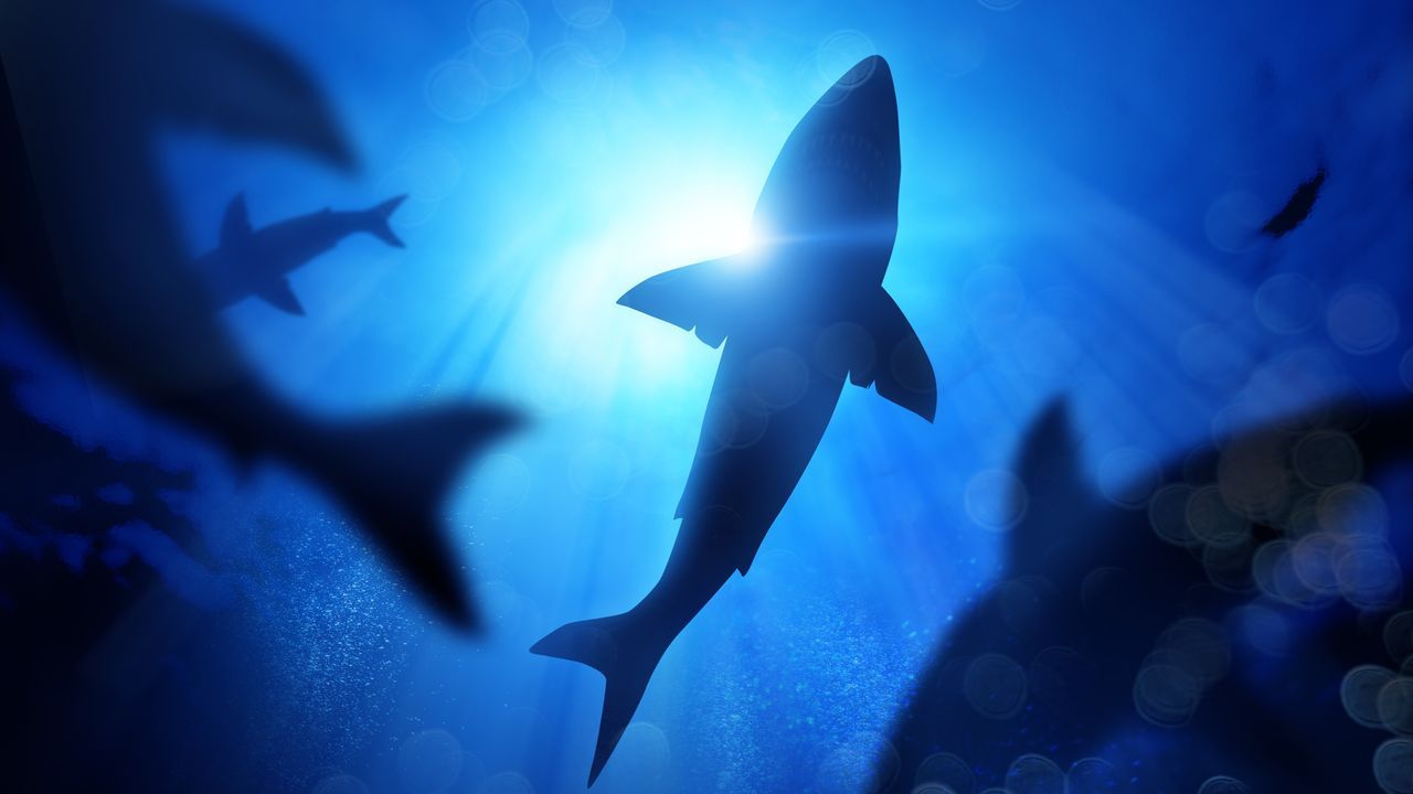 La rotacin de cultivos ayuda a regenerar los suelos