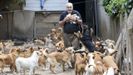 Fernando Fornes llegó hasta la vivienda en el año 2013 y, desde entonces, asegura que se hace cargo de canes abandonados