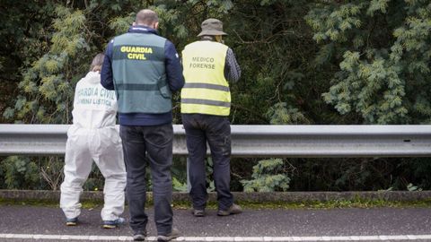 Los investigadores dedicaron todo el día a buscar los restos del cadáver