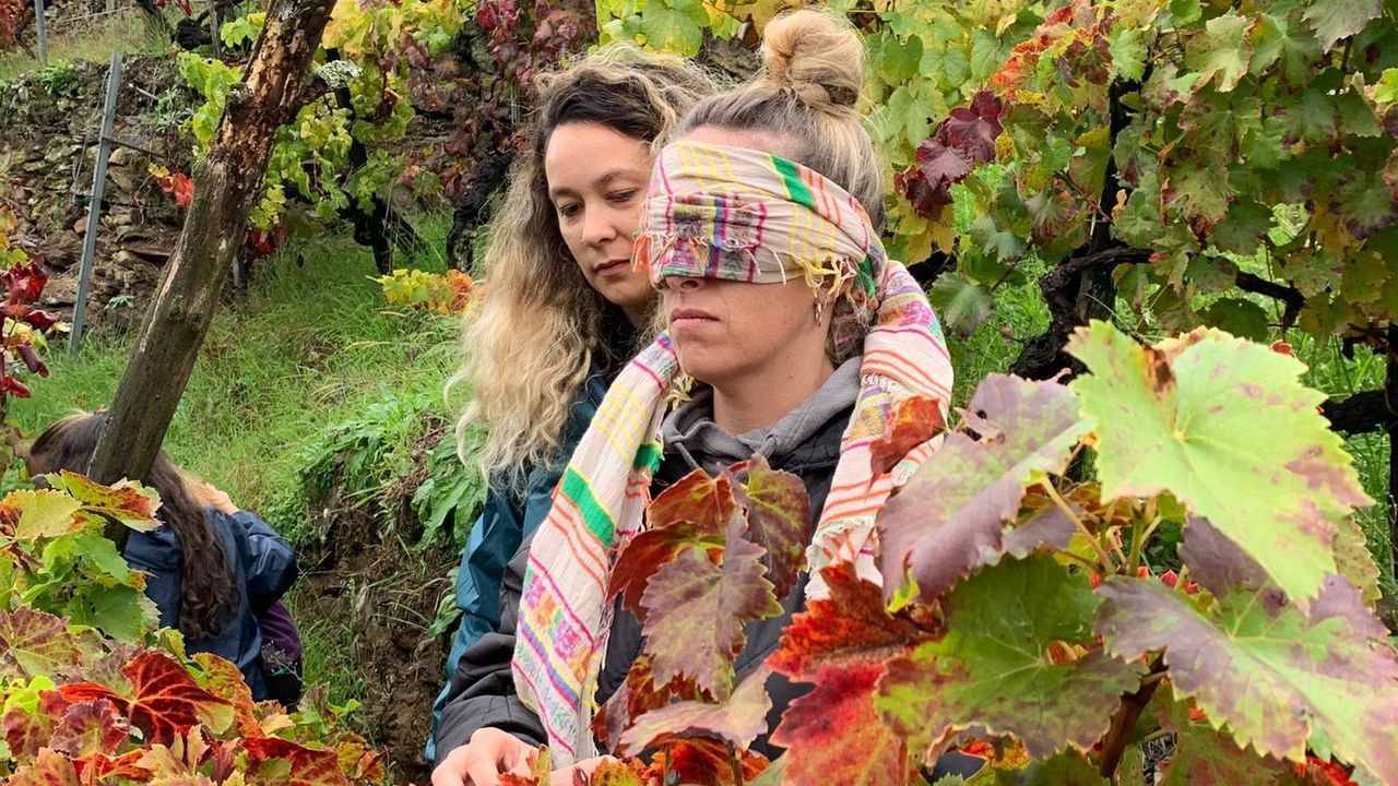 En directo: El encendido de las luces de Navidad en Vigo.Participantes en una sesin de winefullness organizada en el municipio de Pantn dentro de la actual edicin del programa turstico de otoo que promueve el consorcio de la Ribeira Sacra