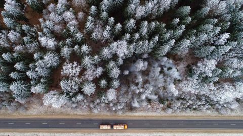 Una imagen sacada con un dron de un bosque todo nevado en Bielorrusia