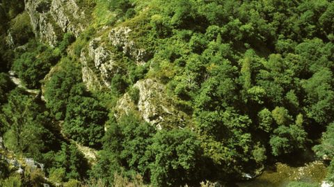 Hoces del Esva