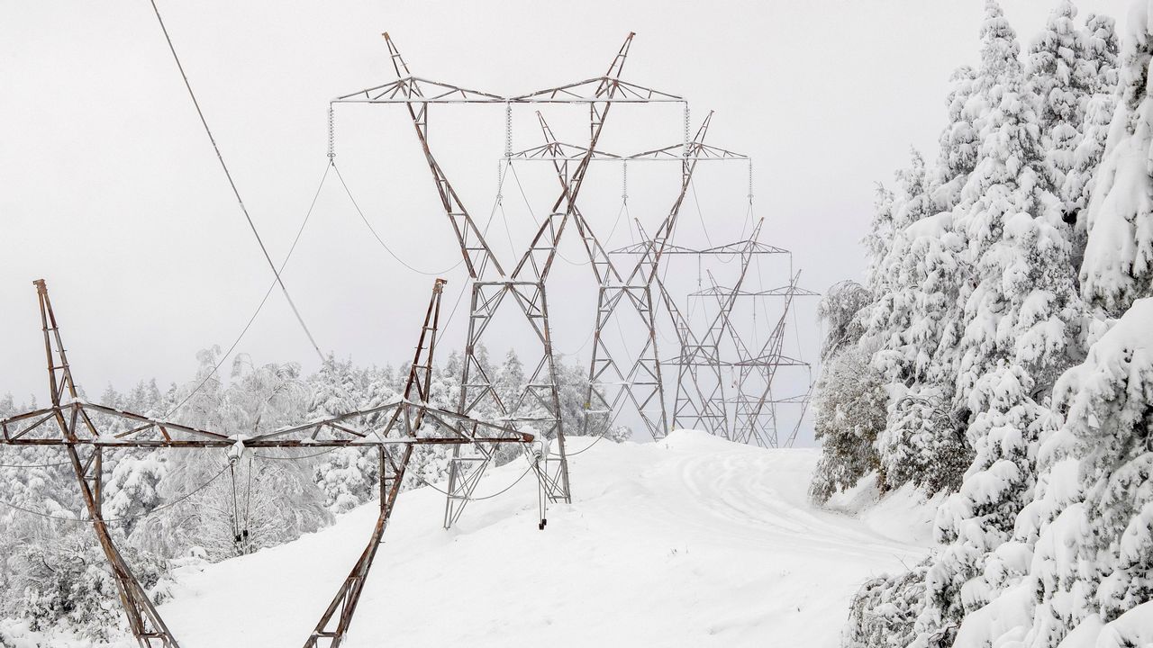 Qu tiempo har este puente?
