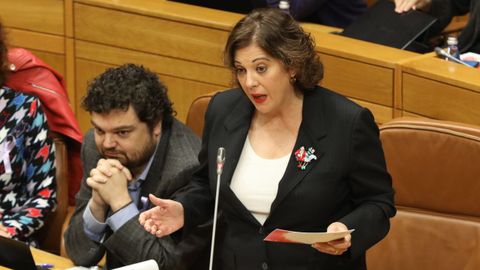 La socialista Rodríguez Rumbo sustituyó a Luis Álvarez, ausente por motivos personales.