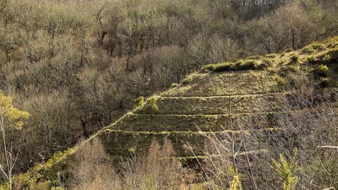 Antiguos canales de regado en un prado empinado frente al souto de Eiriz