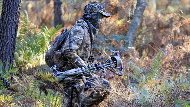 La Xunta estima que debe reducirse un 17 % la población de jabalíes en Vigo y su área