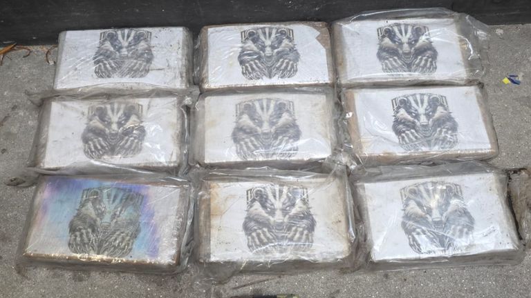 Detenidos dos albaneses que iban a rescatar 80 kilos de cocaína de un contenedor del puerto de Vigo