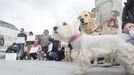 Imagen de archivo de una concentración pidiendo parques para perros en Viveiro, donde están censados 3.267 animales de compañía; la mayoría, canes