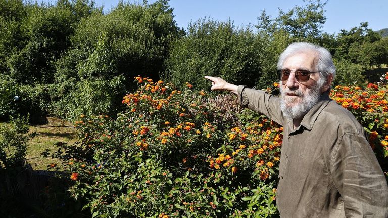 Fincas sin desbrozar en Vigo al comienzo del verano: «Esto va a ser un polvorín»