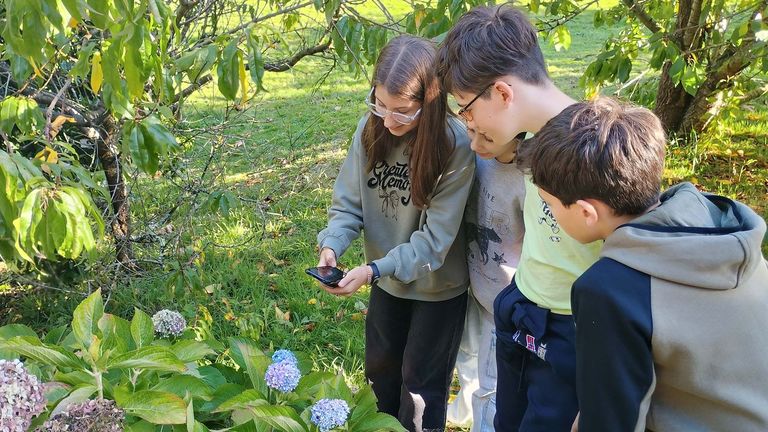 Los Ecovixías de Culleredo entran en acción para promover la conciencia ecológica
