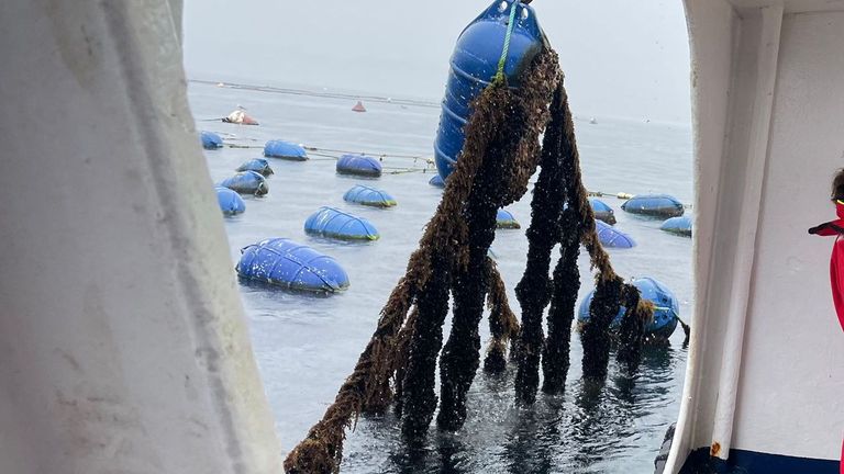 Bateeiros exigen una norma que regule la instalación de long-lines para cría