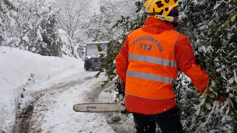 Los voluntarios de Pola de Lena y el 112 ayudando a retirar los rboles cados por la nevada