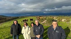 El director xeral de Ganadera, Agricultura e Industrias Agroalimentarias, Jos Balseiros, visit la zona junto a la alcaldesa de Allariz, Cristina Cid.
