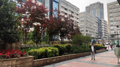 Plaza Longoria Carbajal, en Oviedo