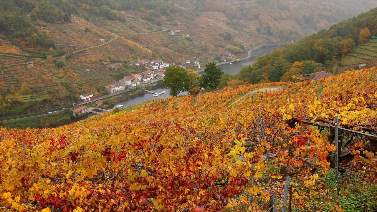 Columpio y mirador de Punta Castro, en el litoral de Ribeira.La Ribeira Sacra es uno de los escenarios naturales perfectos para disfrutar del paisaje del oto�o.