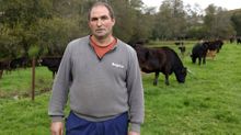 Roberto Louzao, que tiene su ganadera en el municipio pontevedrs de Cerdedo-Cotobade.
