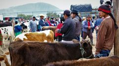 Mercados de artesana y animales en Otavalo