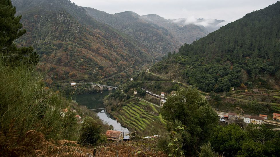 Un paseo visual por el Cami�o do Tirxo