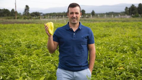 El nico productor de la IXP posa con un pimiento en su finca de la comarca verinesa