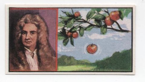 Vi�eta de Isaac Newton y la conocida manzana