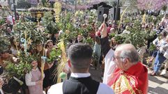 Las imágenes del Domingo de Ramos en Ferrol
