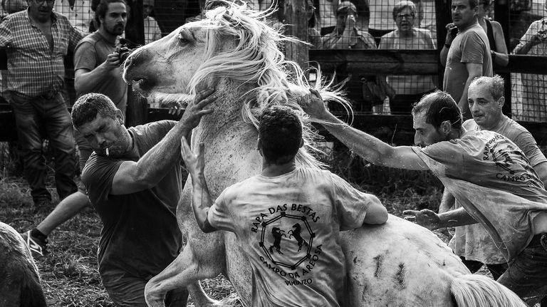 Fotografía con la que el carballés ganó el certamen