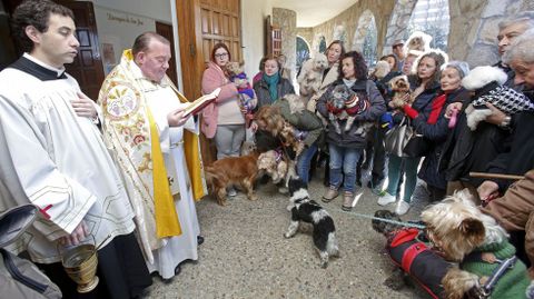 Bendición de mascotas en la iglesia de Campolongo