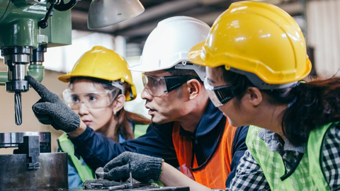 Formacin Profesional