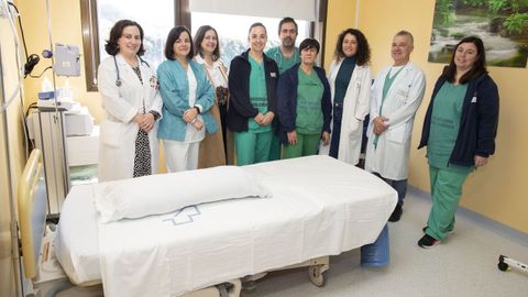 Algunos de los profesionales ligados al área de maternidad en el Virxe da Xunqueira