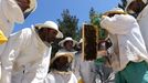 Alumnos en el curso de apicultura