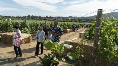 Fiesta en la rectoral de Vilamaior de Crego e Monaguillo