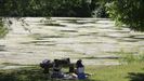 Imagen del río Miño a su paso por Lugo, cubierto por las flores de ranúnculo acuático