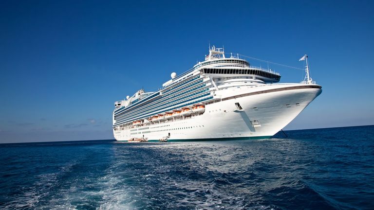 Un norovirus es el causante del brote de gastroenteritis en el crucero en el que permanecen confinadas 1.700 personas en Burdeos