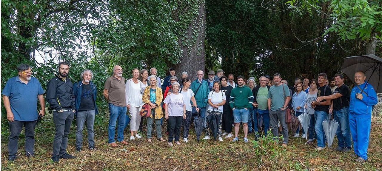 Protesta vecinal en Tui contra la tala de árboles centenarios en la ...